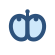 Endocrinologie